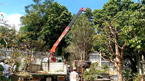 Thuê xe cẩu tự hành tại Bắc Ninh